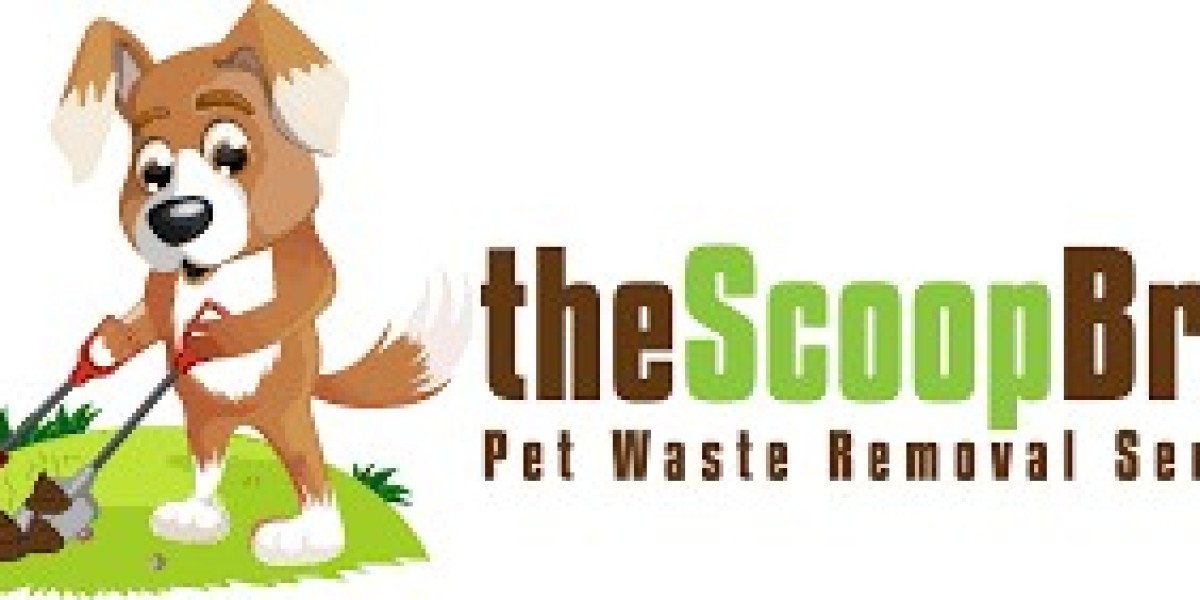 What is Pet Pool Removal Services?