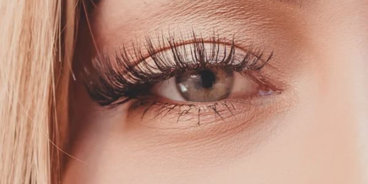 Faux Eyelash Extensions, Mink Individual Lashes, and Highlight Powder: Enhance Your Look with Glamorous Eyes