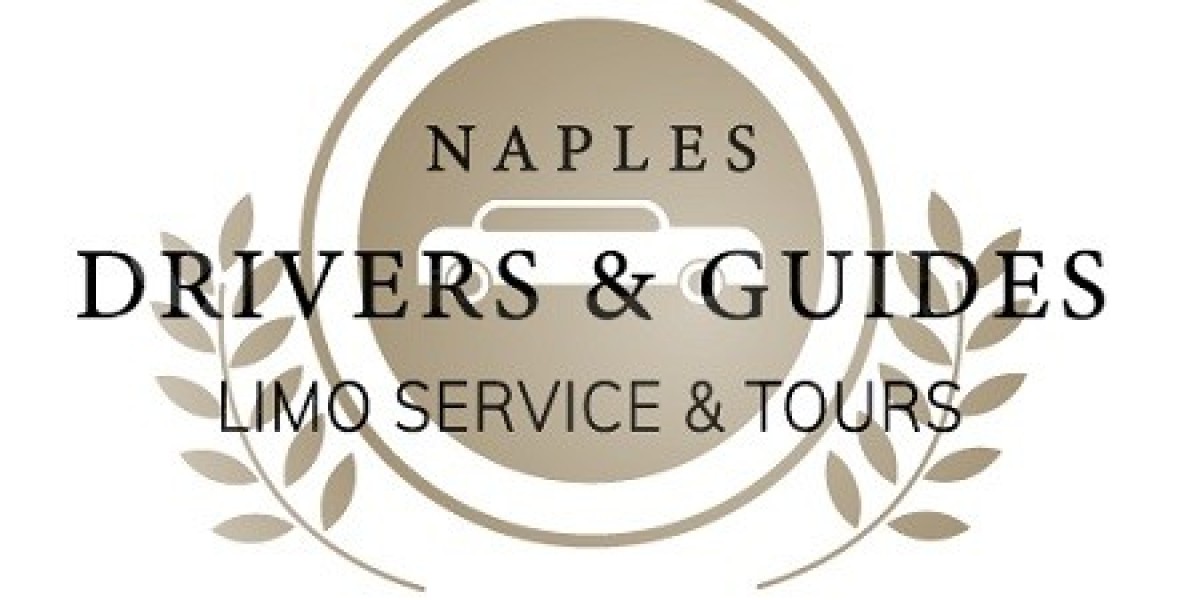 Seamless Transfers-Naplesdriverguide's Car Service from Rome to Naples and Positano