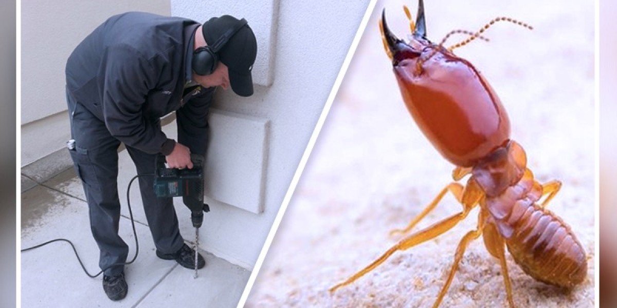 Uncovering Hidden Threats | The Importance of Termite Inspection Near Me