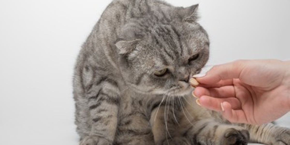 Natural vs. Synthetic Cat Supplements: Which is Better for Your Pet?