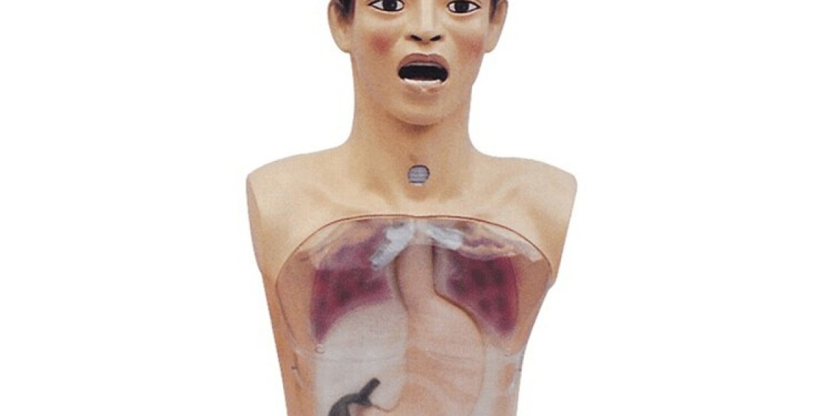 Does the Nursing Training Manikin Have Simulated Sounds and Vital Signs?
