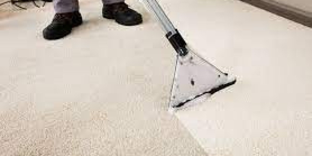 The Importance of Regular Carpet Cleaning Services for a Healthier Home