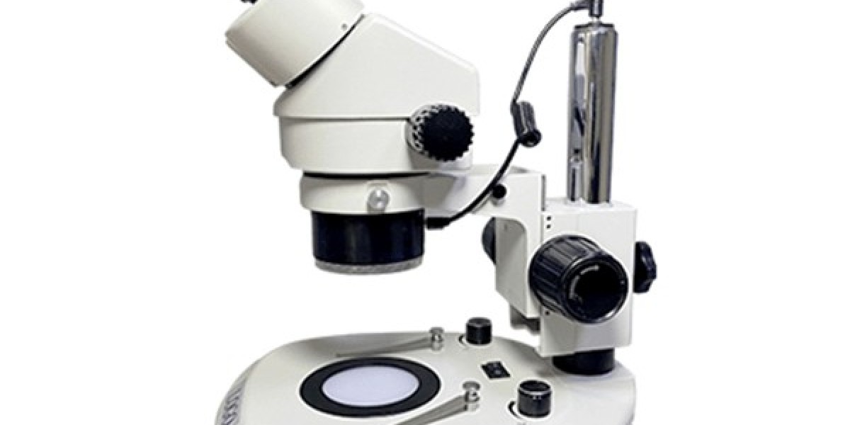 What Is a Stereo Microscope Used for?