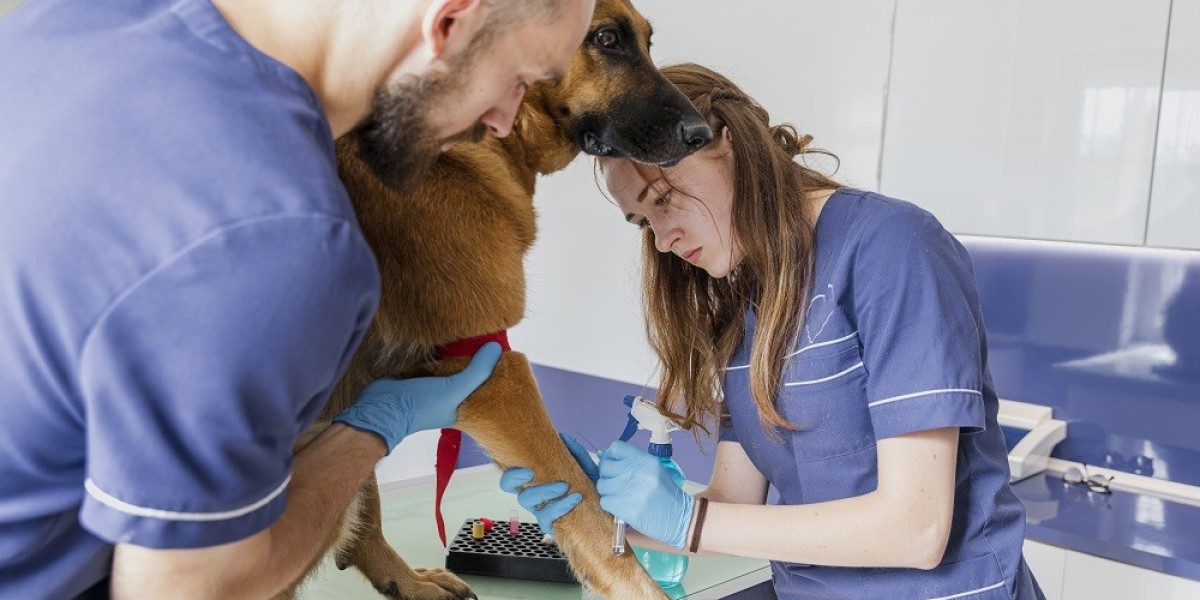 Ensuring Your Pet’s Health and Safety: Abbotsford Animal Emergency Services