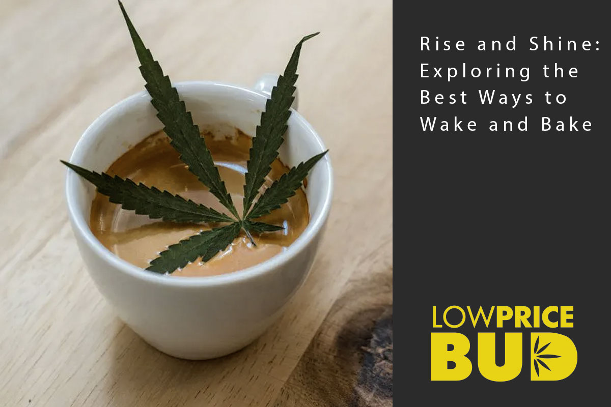 Rise and Shine: Exploring the Best Ways to Wake and Bake - Low Price Bud
