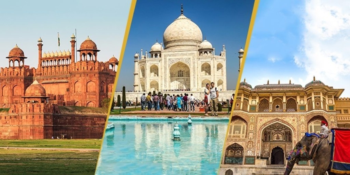 Traveltrip24x7: Your Premier Travel Partner in India